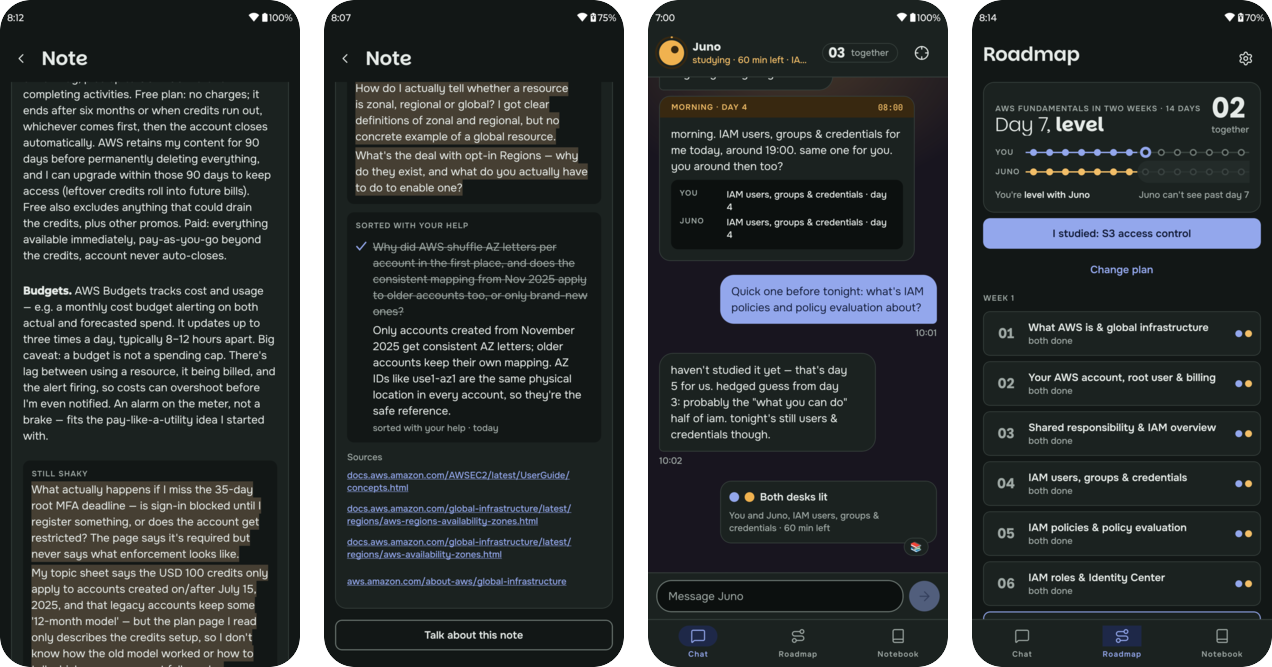 Four screens from the app: a note with its shaky part washed in pencil, a point sorted with the user’s help, a question about tomorrow’s topic the buddy won’t answer yet, and the roadmap
